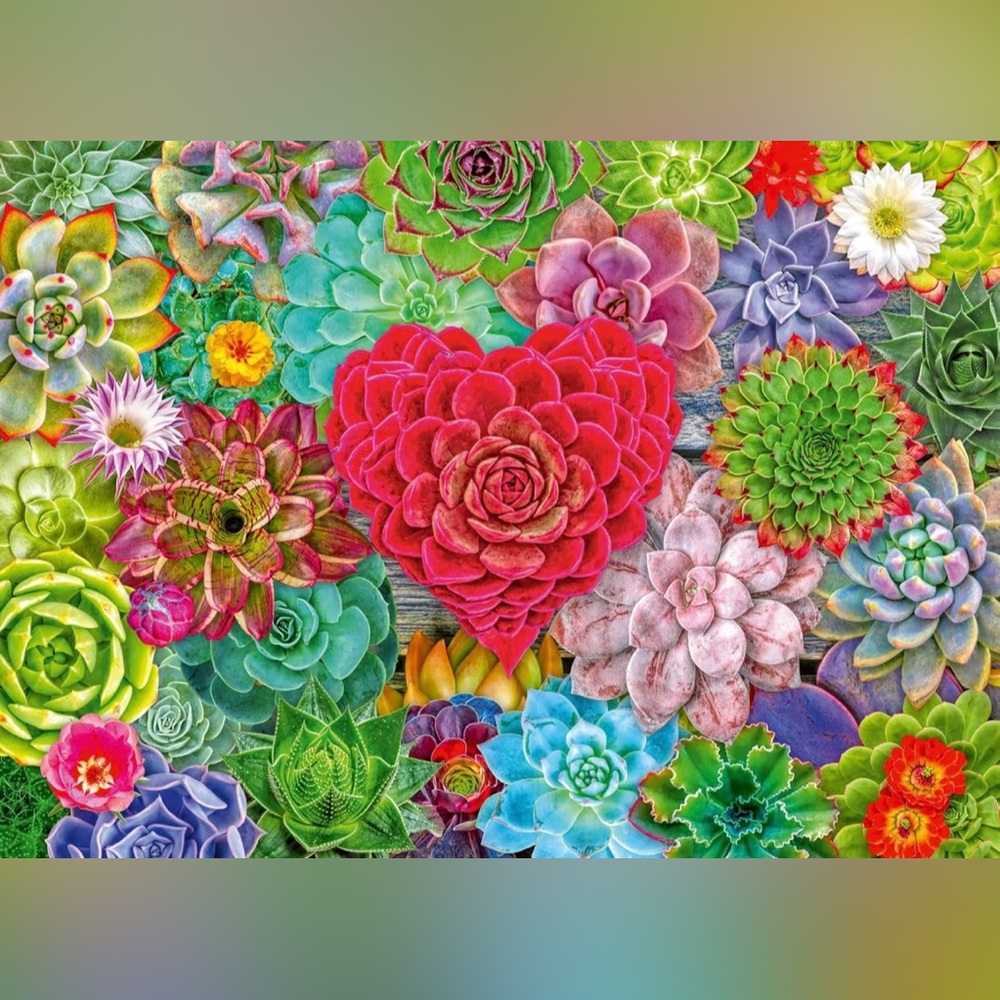 Succulent Love - Picture 2 of 5